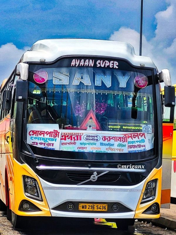 Bus