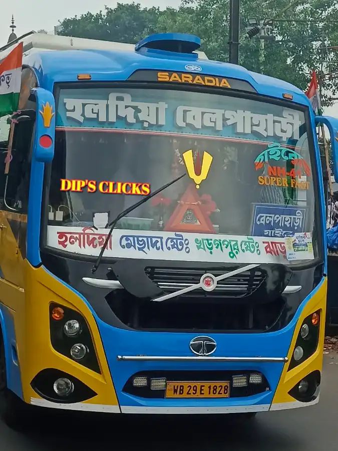 Bus