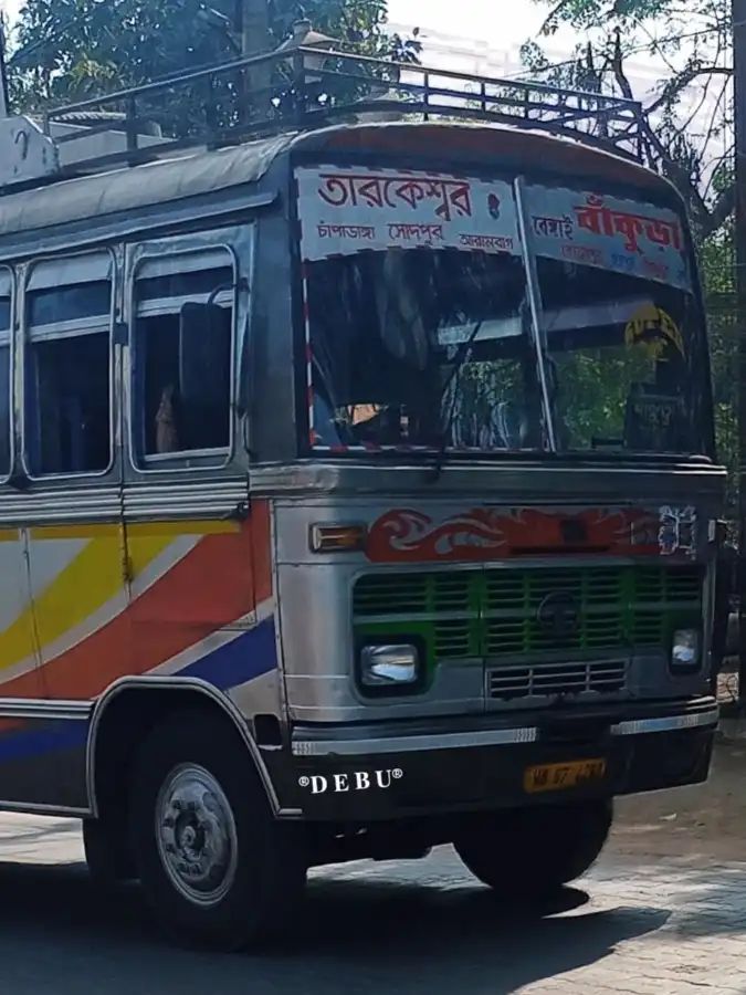 Bus