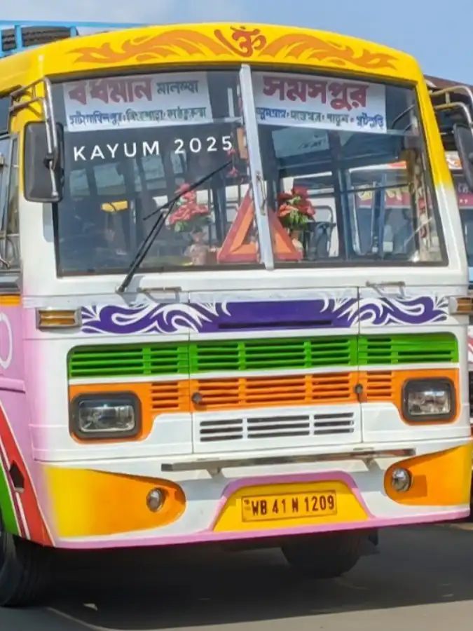 Bus