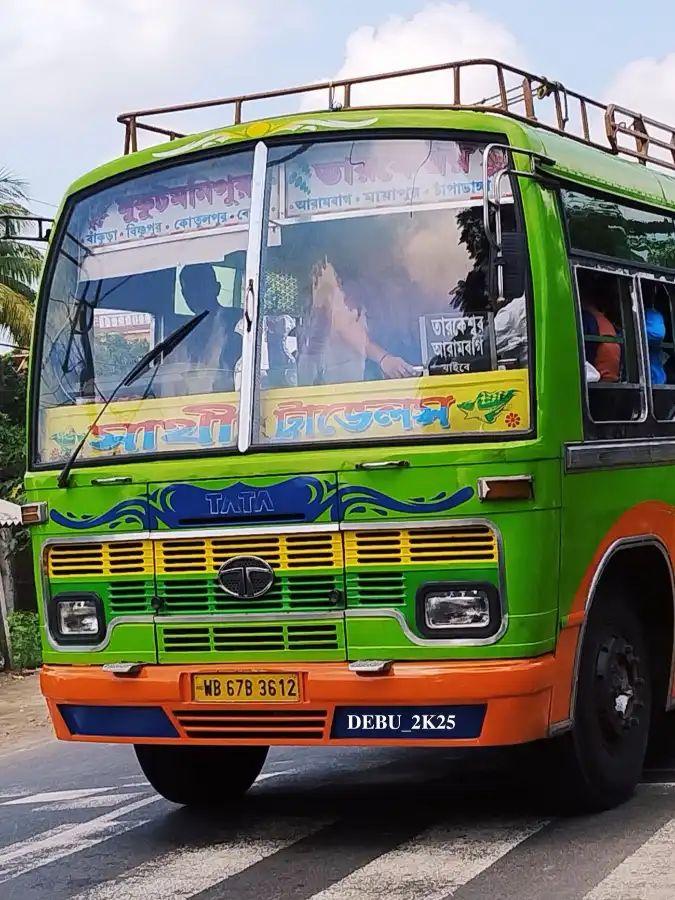 Bus