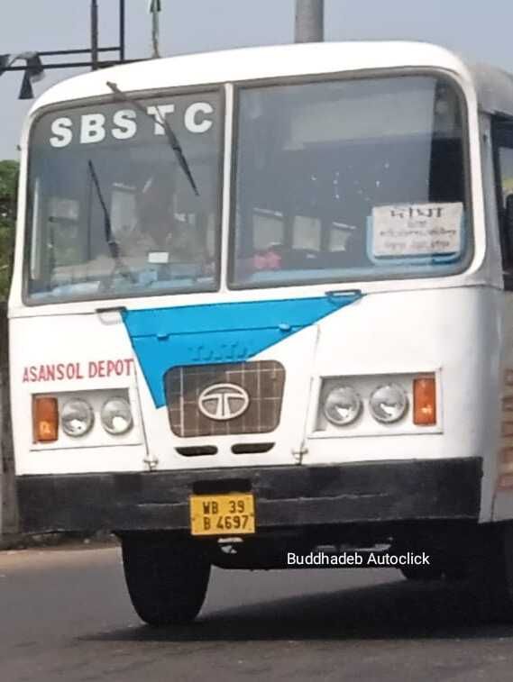 Bus