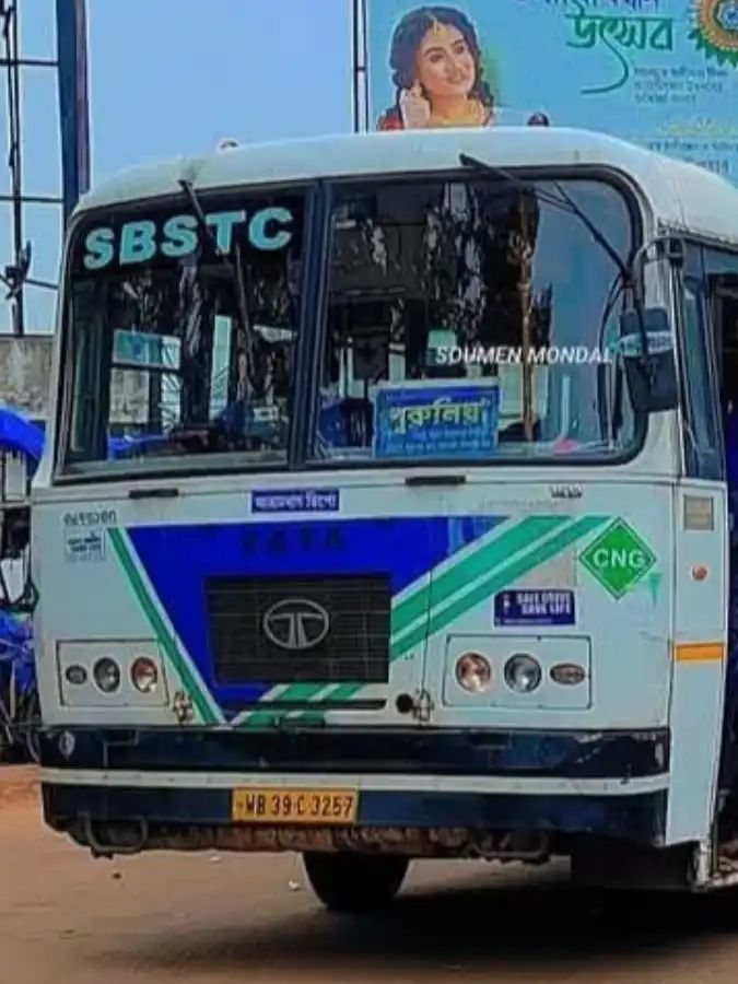 Bus