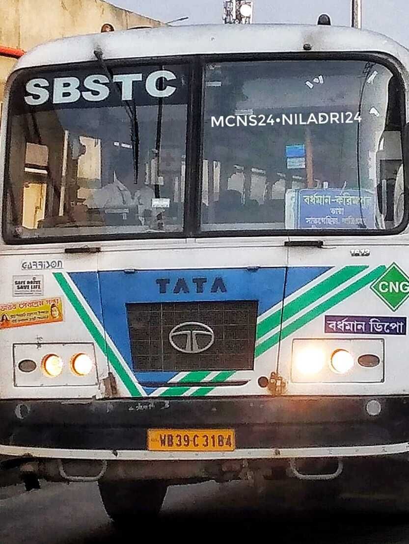 Bus