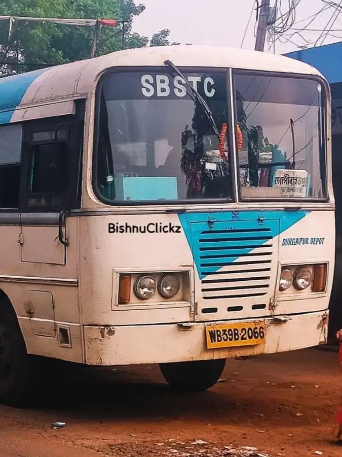 Bus