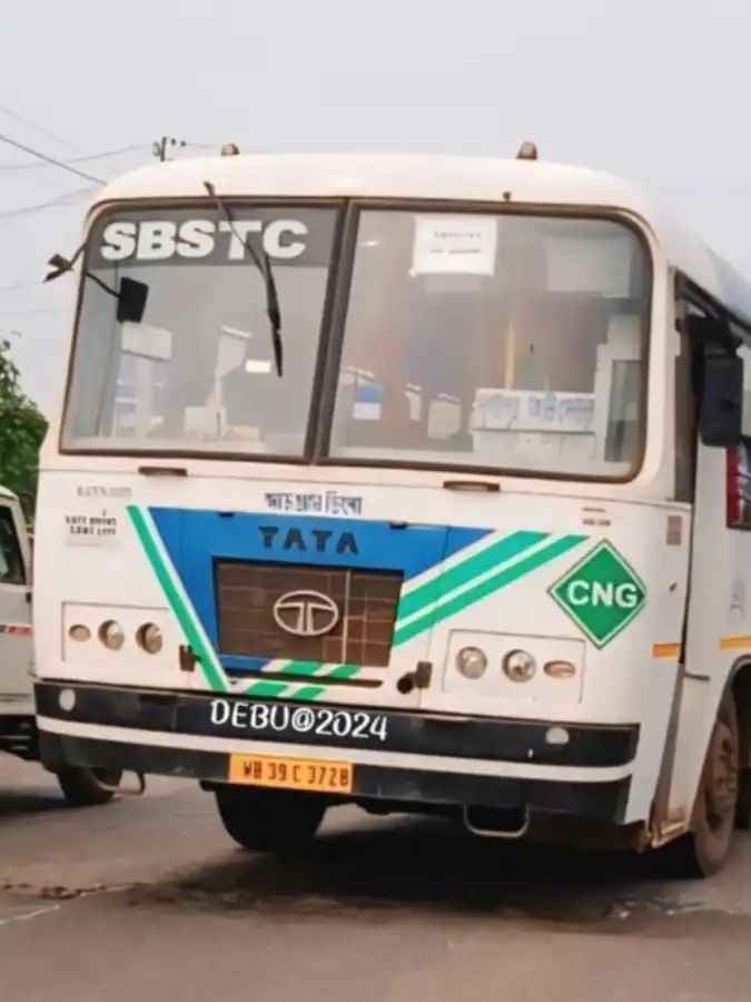Bus