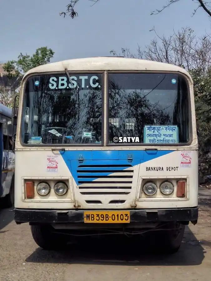 Bus