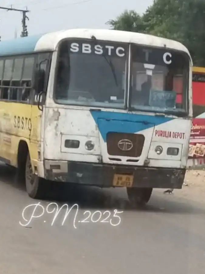 Bus