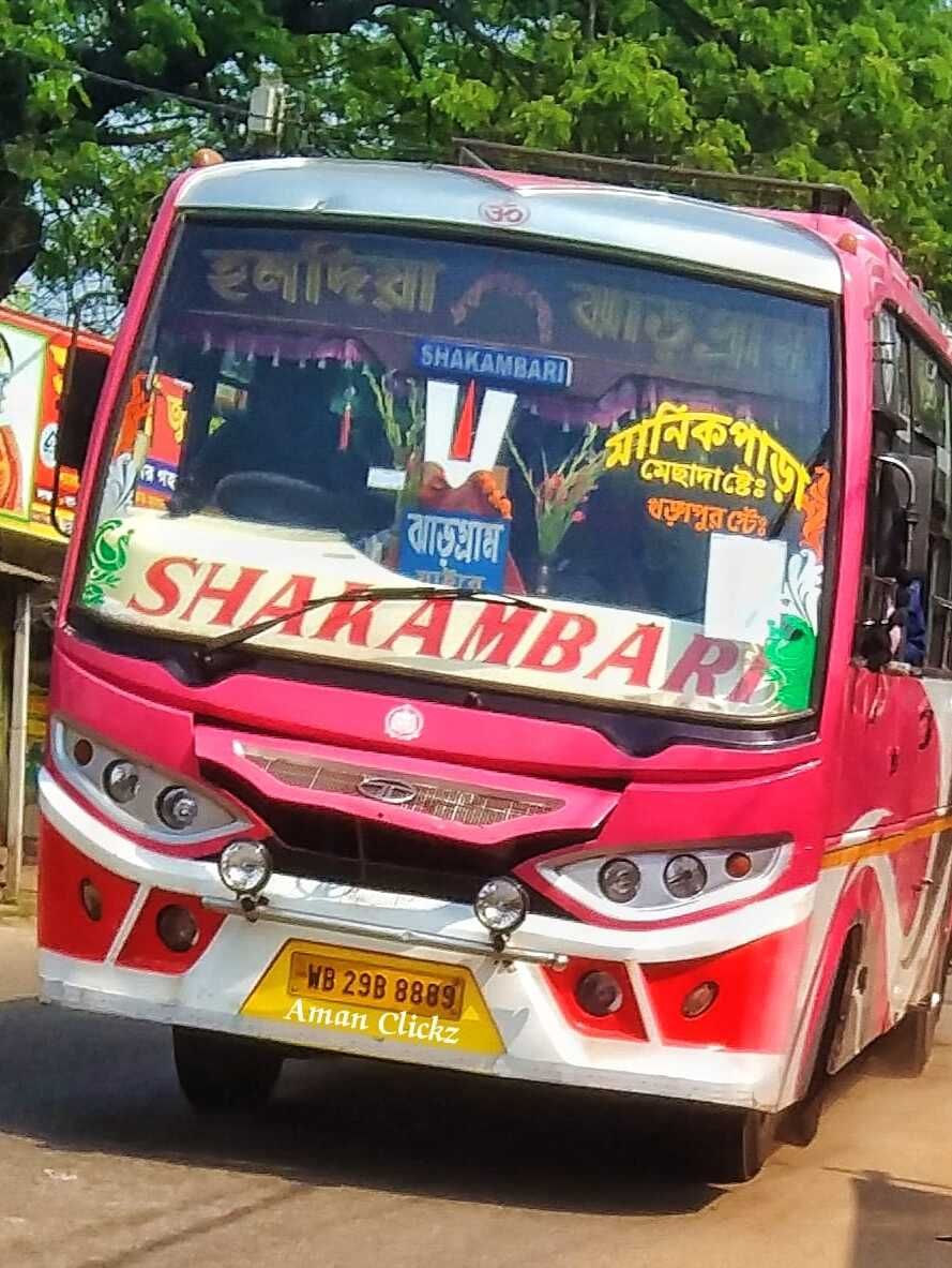 Bus