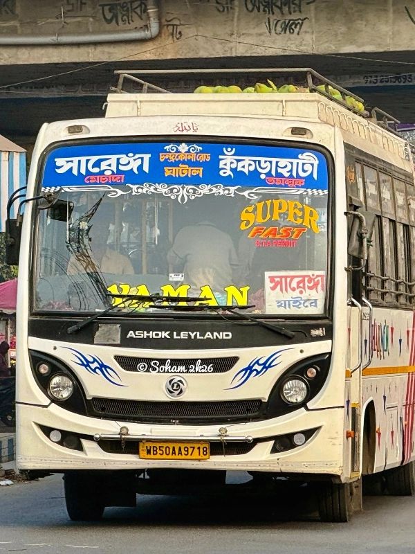 Bus