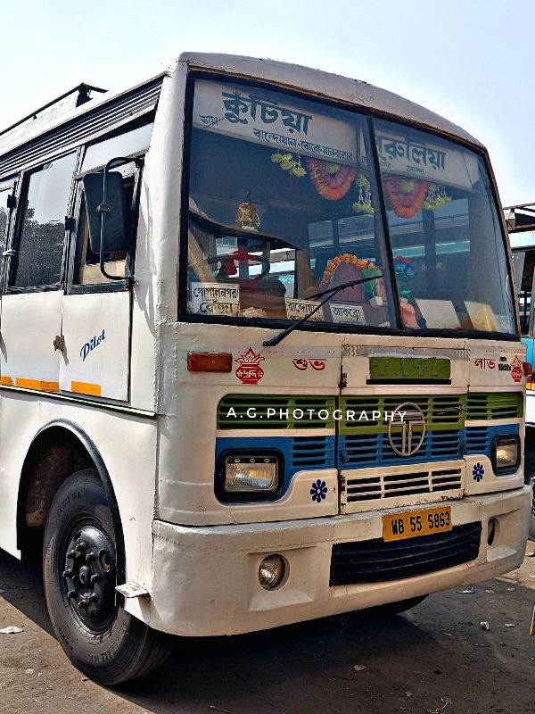 Bus