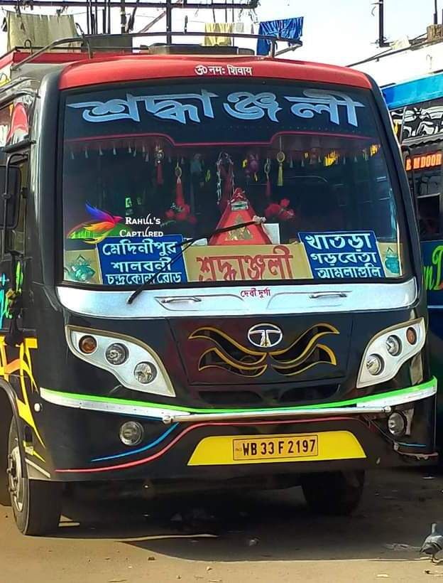 Bus
