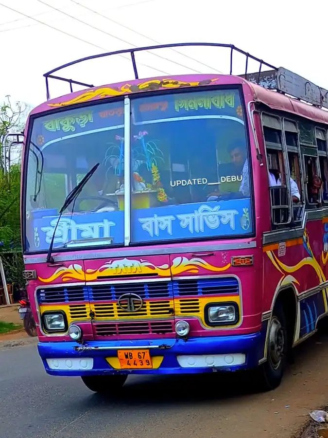 Bus
