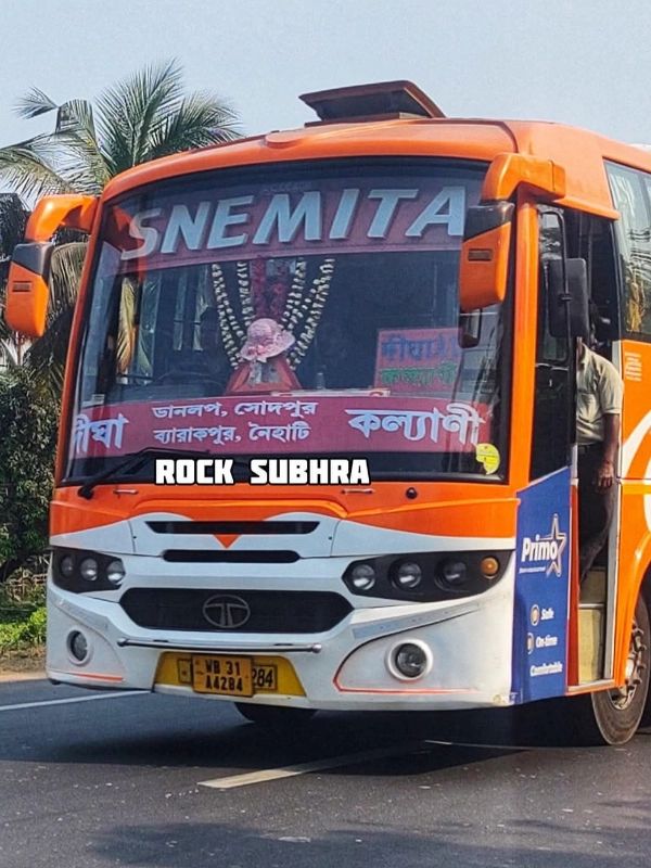 Bus