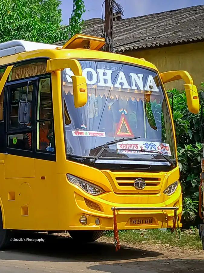 Bus