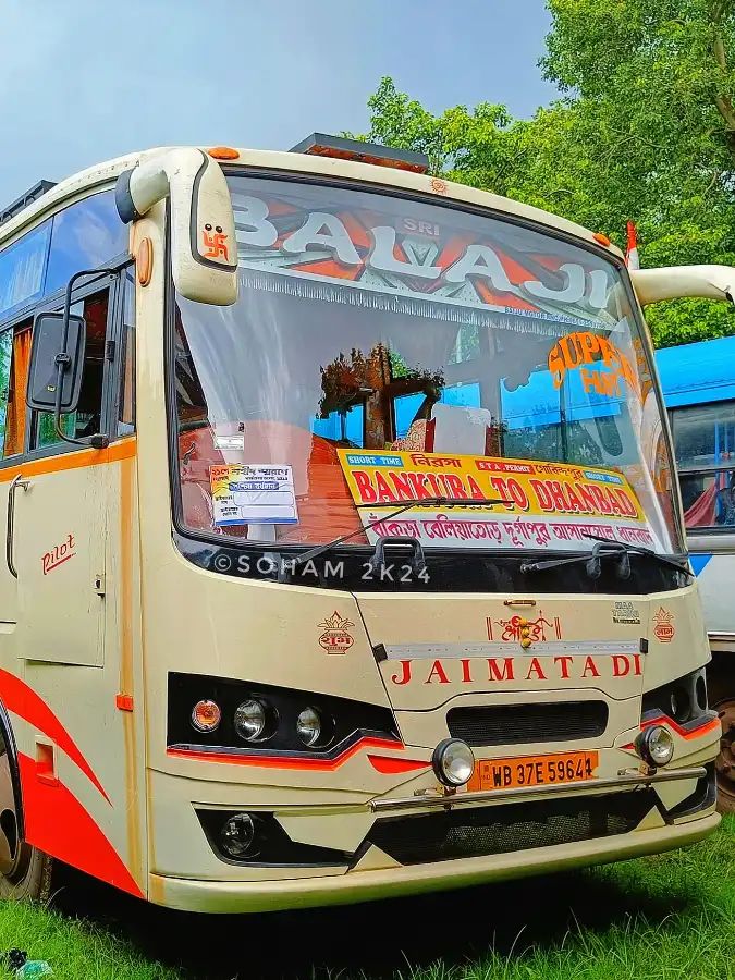 Bus