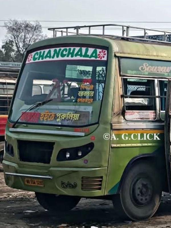 Bus