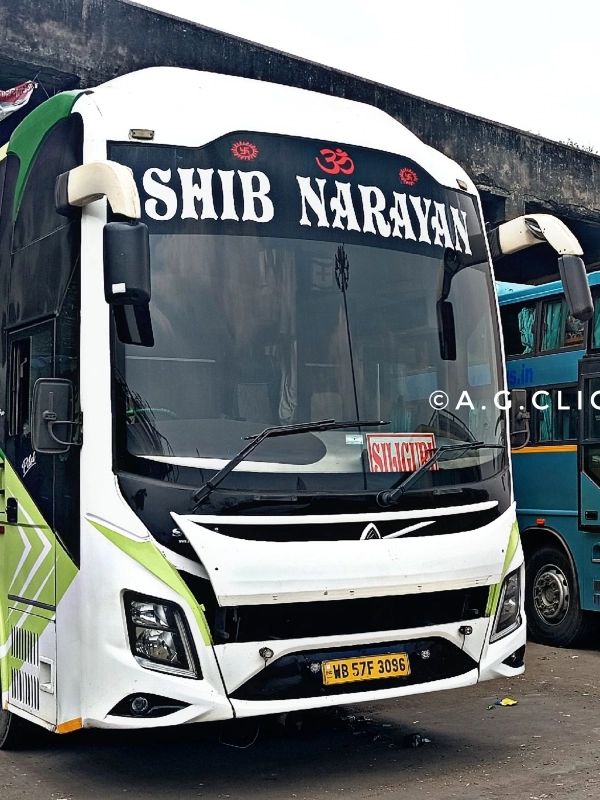 Bus