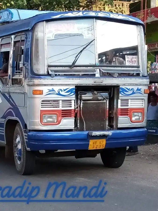Bus