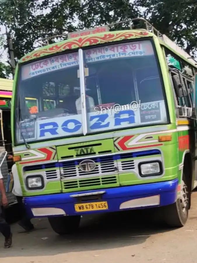 Bus