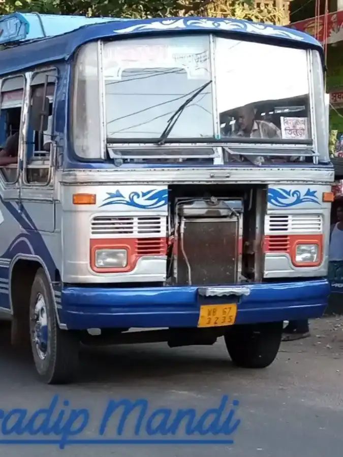 Bus