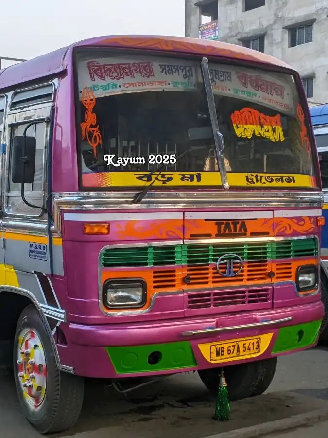 Bus