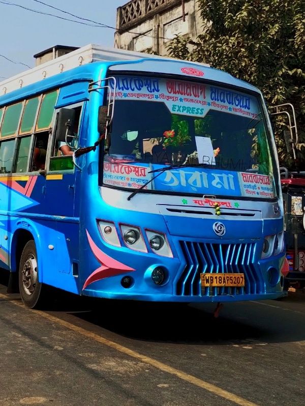 Bus