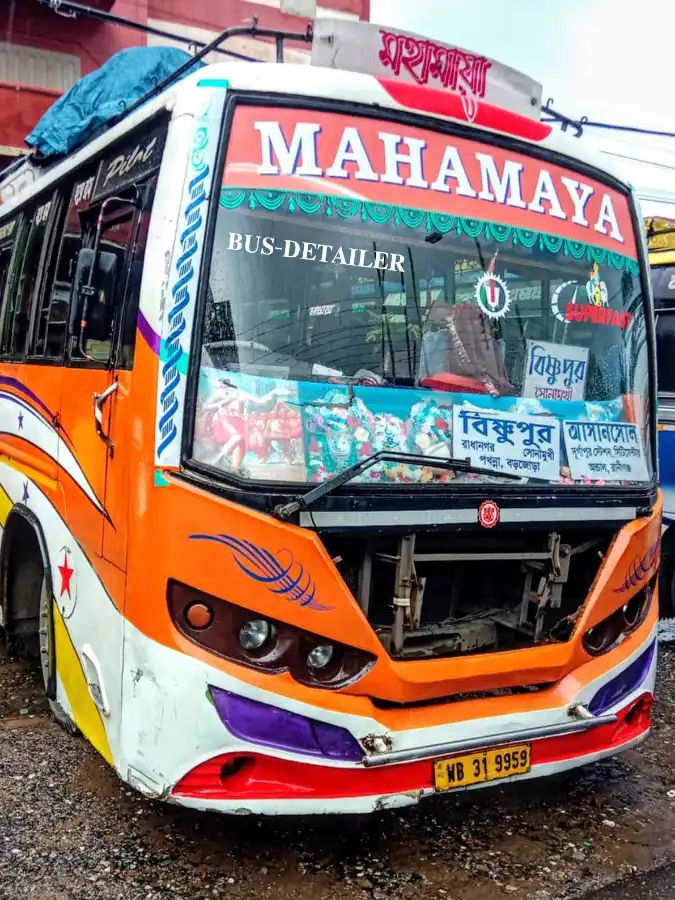 Bus