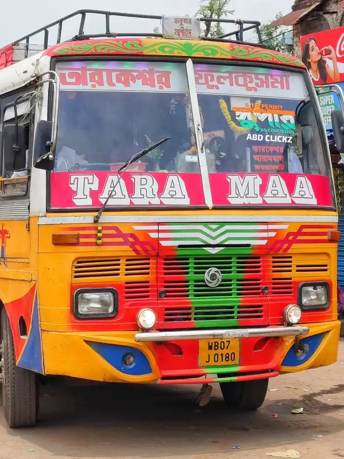 Bus