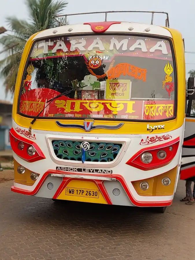 Bus