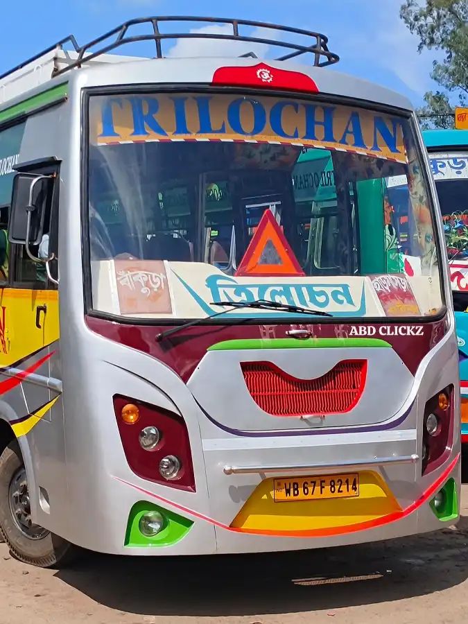 Bus