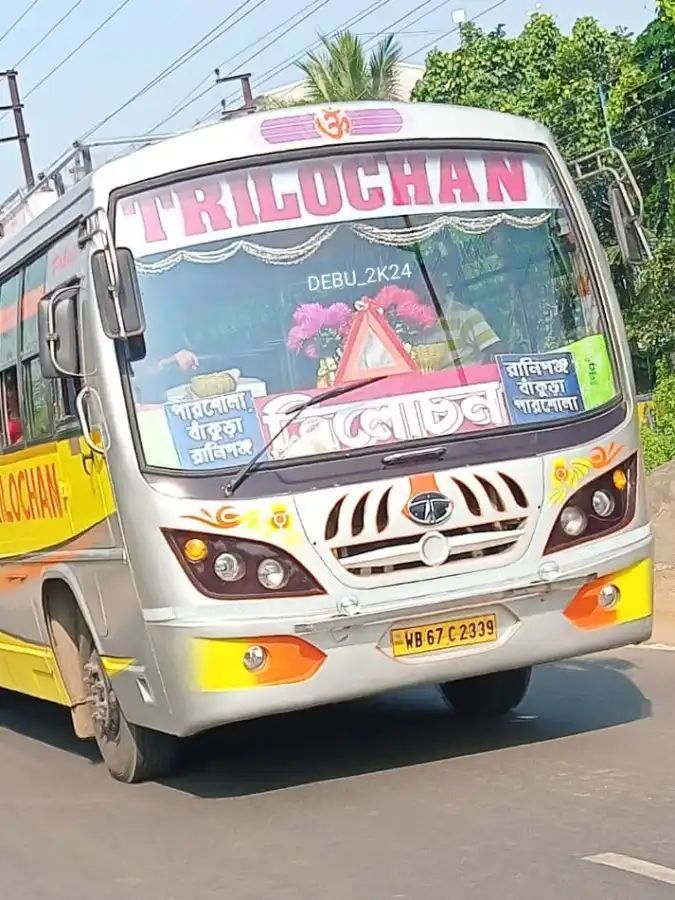 Bus
