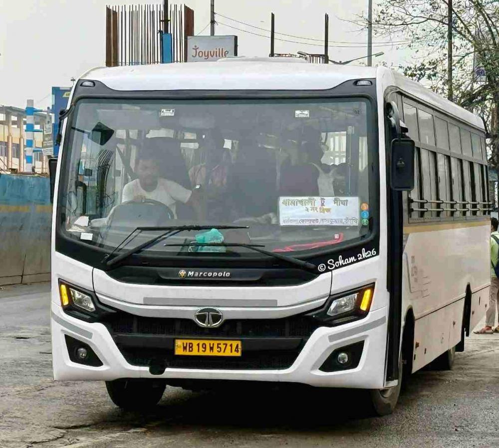 Bus