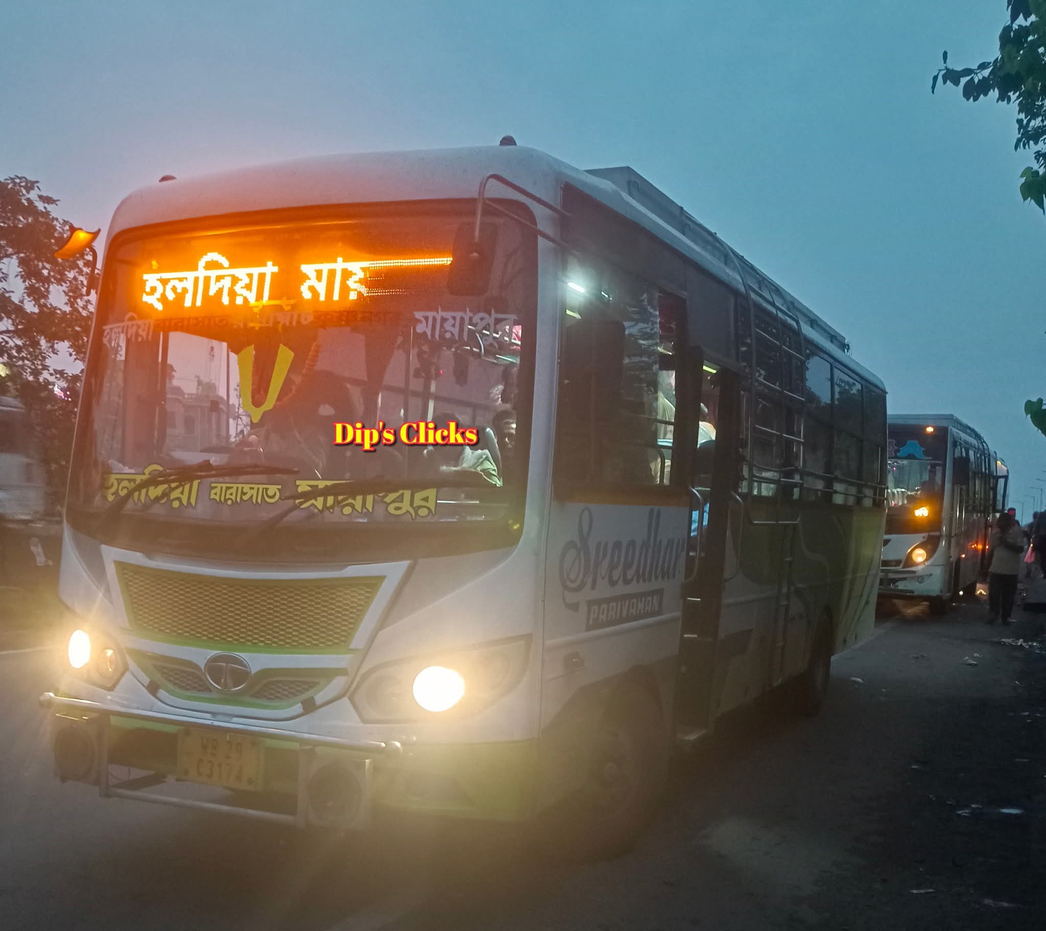 Bus
