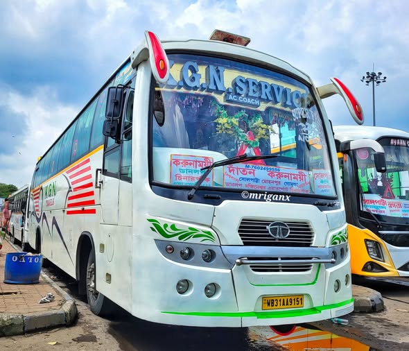 Bus