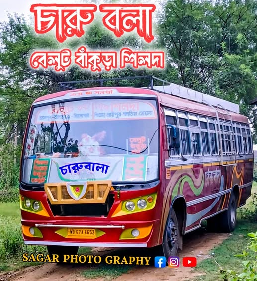 Bus