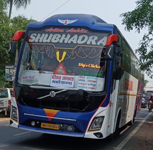 Bus