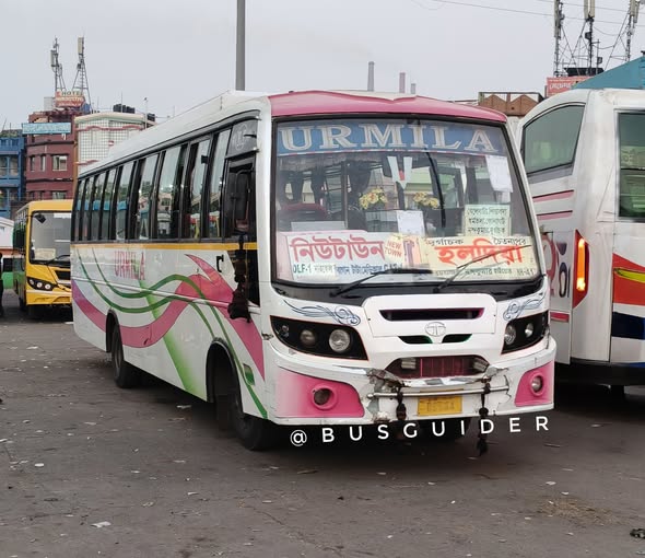 Bus