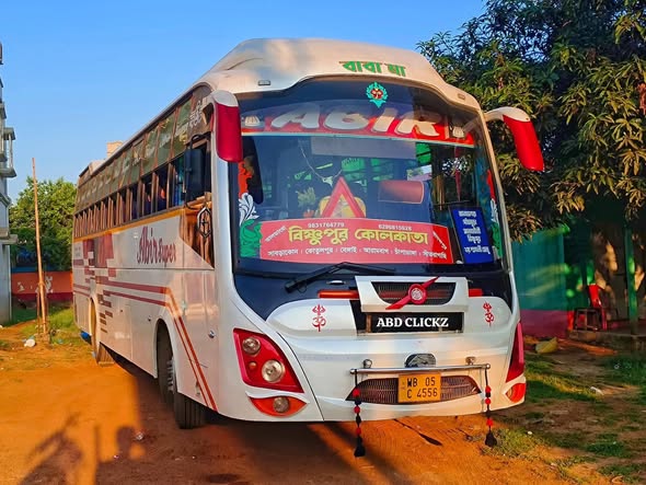 Bus