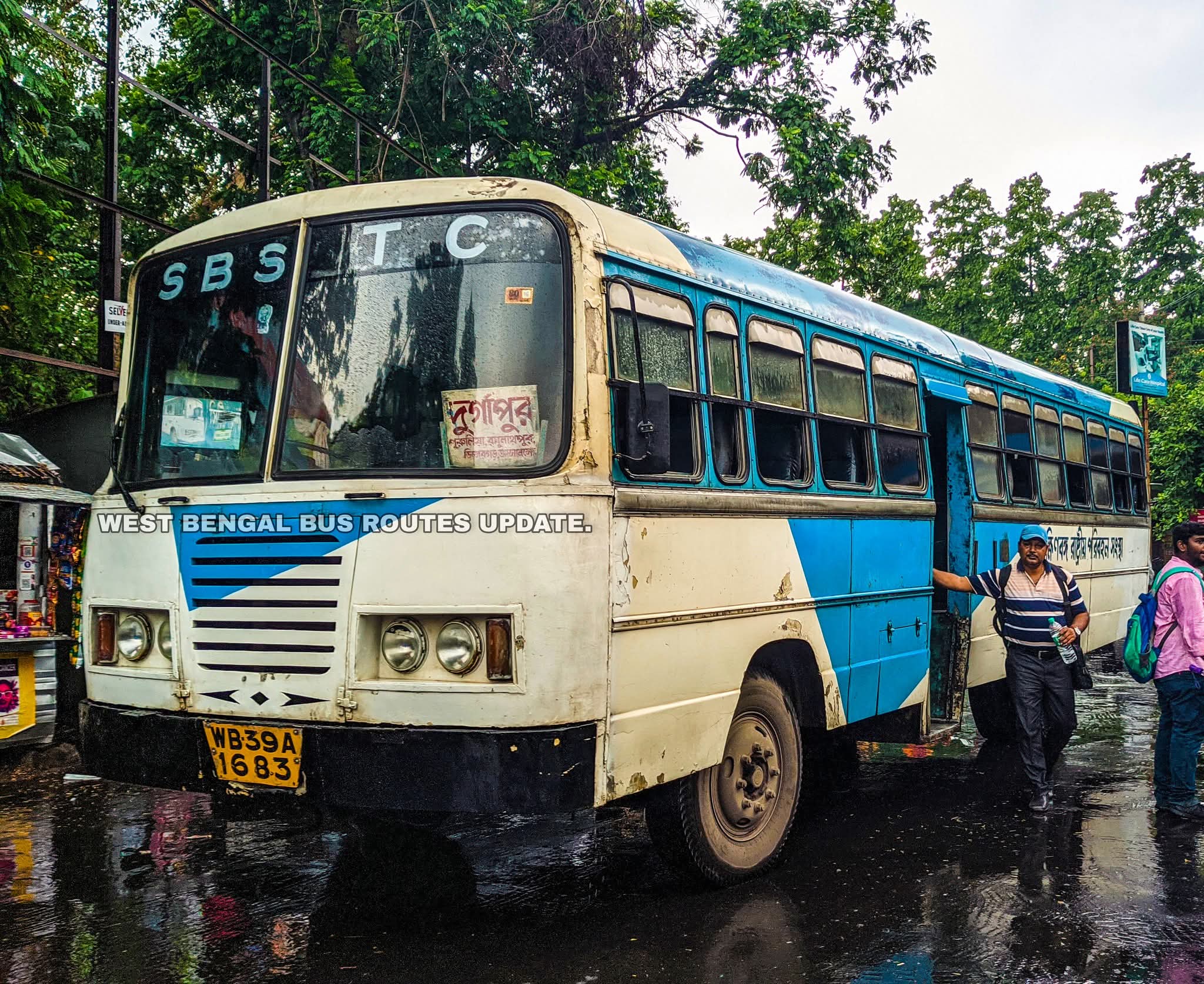 Bus