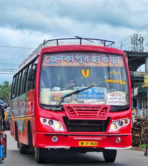 Bus
