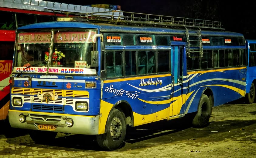 Bus