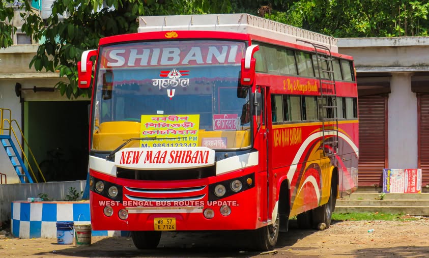 Bus