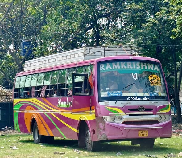 Bus