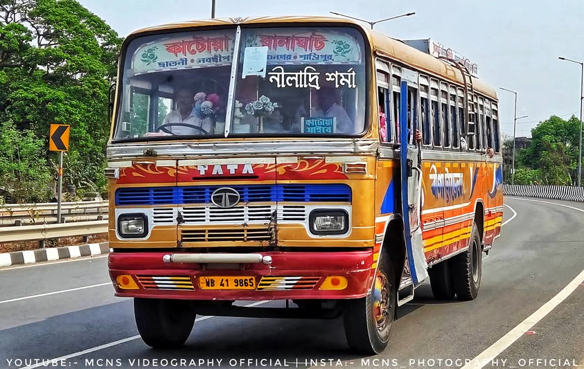 Bus