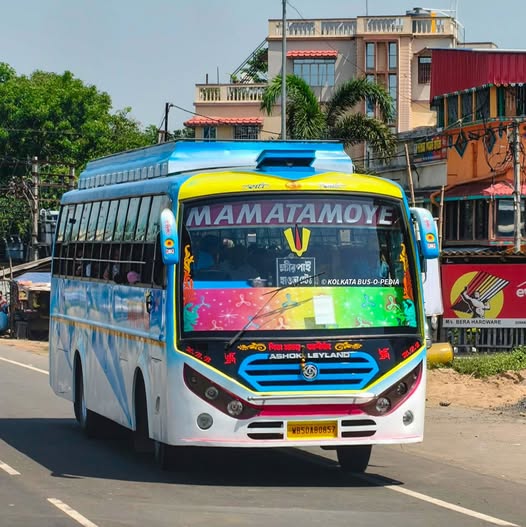 Bus