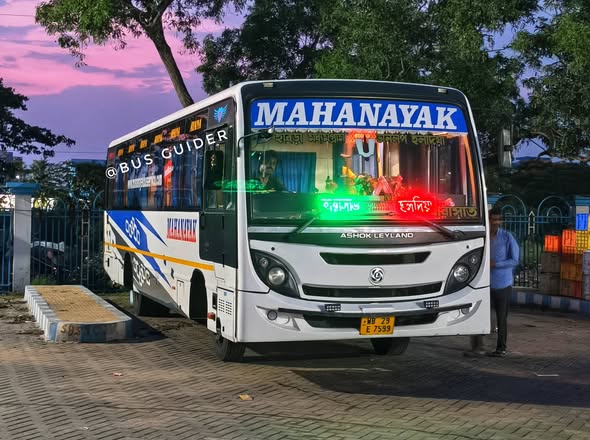 Bus