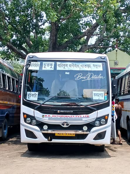 Bus
