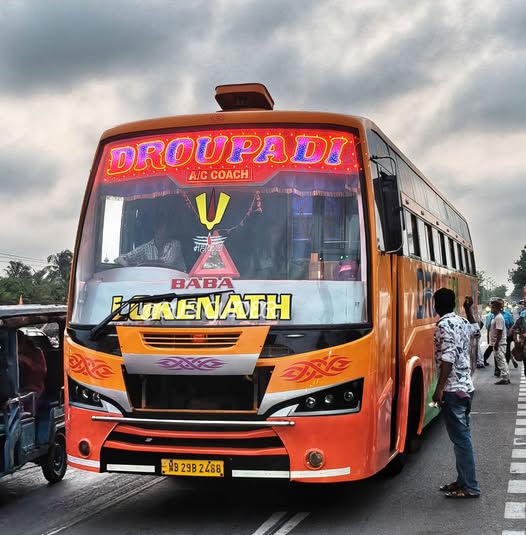 Bus