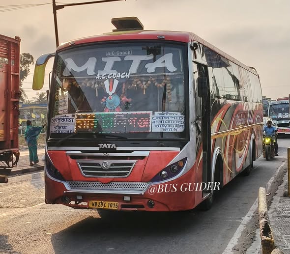 Bus